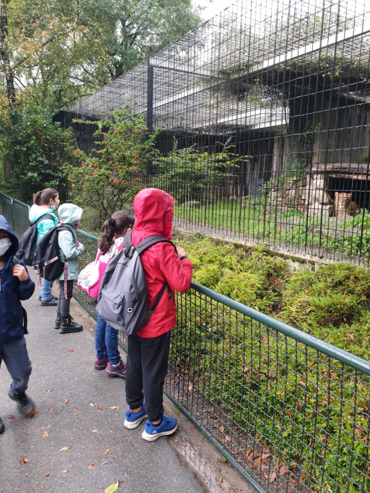 galerie zoobesuch Zoobesuch Sept. 2021 (24)